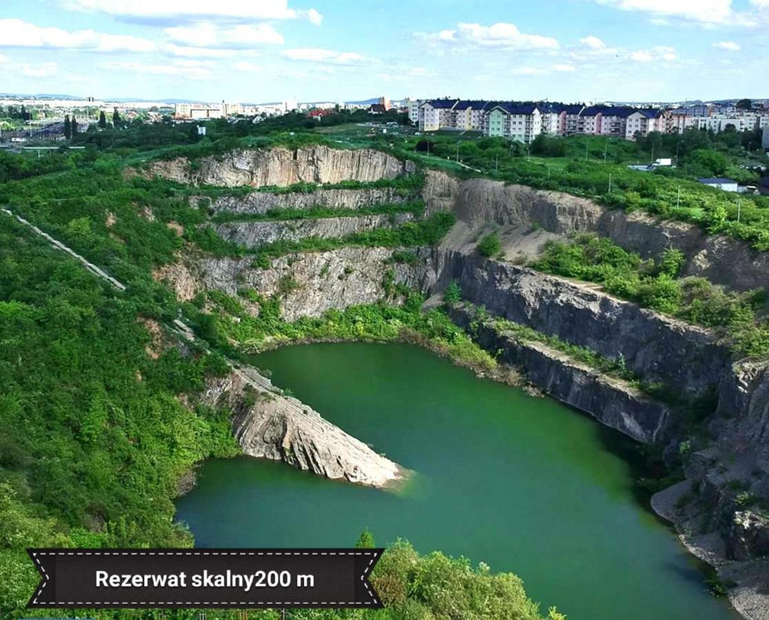 Black Rose Apartament Targi 3 Km, F-Ry Vat Кельце Екстер'єр фото